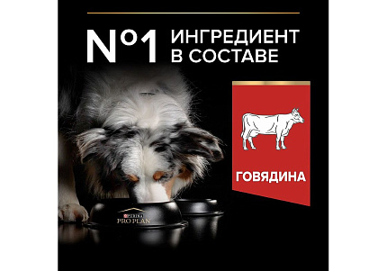 PRO PLAN DUO DELICE Сухой корм ПРО ПЛАН для взрослых собак средних и крупных пород с говядиной 10 кг