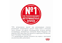 Royal Canin Kitten Gastrointestinal Ветеринарный сухой корм Роял Канин Гастроинтестинал для Котят от 2 до 10 месяцев при Нарушениях пищеварения 2 кг
