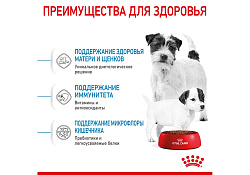 Royal Canin Mini Starter Сухой корм Роял Канин Мини Стартер для Щенков Мелких пород в возрасте до 2 месяцев 3 кг