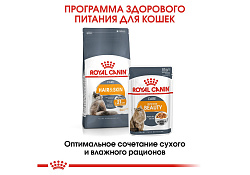 Royal Canin Hair & Skin Care Сухой корм Роял Канин Хэйр & Скин Кэа для кошек Здоровая кожа и шерсть 2 кг
