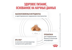 Royal Canin Gastrointestinal Fibre Response Ветеринарный сухой корм Роял Канин Фибр Респонс для кошек Нарушения пищеварения (запоры) 350 г