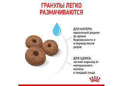 Royal Canin Giant Starter Сухой корм Роял Канин Джайнт Стартер для Щенков Гигантских пород в возрасте до 2 месяцев 15 кг