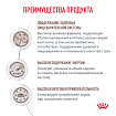 Сухой корм Royal Canin GASTROINTESTINAL (ГАСТРОИНТЕСТИНАЛ) 2 кг