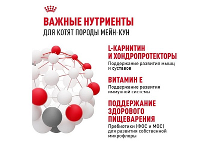 Royal Canin Breed cat Kitten Maine Coon Сухой корм Роял Канин для Котят породы Мэйн Кун в возрасте до 15 месяцев 2 кг