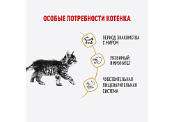 Royal Canin Breed Kitten Maine Coon Влажный корм (Консервы-Паучи) Роял Канин для Котят породы Мэйн Кун в возрасте до 15 месяцев (цена за упаковку) 85г х 28шт