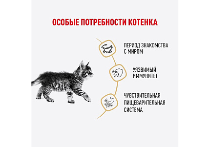 Royal Canin Breed Kitten Maine Coon Влажный корм (Консервы-Паучи) Роял Канин для Котят породы Мэйн Кун в возрасте до 15 месяцев (цена за упаковку) 85г х 28шт
