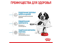 Royal Canin Giant Starter Сухой корм Роял Канин Джайнт Стартер для Щенков Гигантских пород в возрасте до 2 месяцев 15 кг