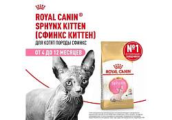 Royal Canin Breed cat Kitten Sphynx Сухой корм Роял Канин для Котят породы Сфинкс в возрасте до 12 месяцев 2 кг