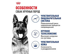Royal Canin Maxi Adult Сухой корм Роял Канин Макси Эдалт для Взрослых собак Крупных пород в возрасте от 15 месяцев до 5 лет 15 кг Royal Canin Maxi Adult Сухой корм Роял Канин Макси Эдалт для Взрослых собак Крупных пород в возрасте от 15 месяцев до 5 лет 15 кг