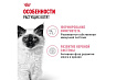 Royal Canin Kitten Instinctive Влажный корм (Консервы-Паучи) Роял Канин Киттен Инстинктив для Котят в возрасте от 4 до 12 месяцев в Соусе (цена за упаковку) 85г х 28шт