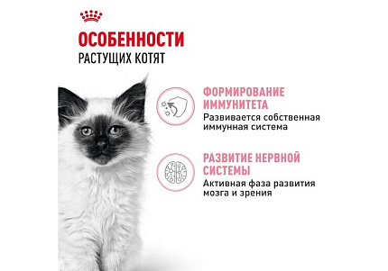 Royal Canin Kitten Instinctive Влажный корм (Консервы-Паучи) Роял Канин Киттен Инстинктив для Котят в возрасте от 4 до 12 месяцев в Соусе (цена за упаковку) 85г х 28шт