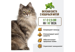Unitabs BiotinPlus с Q10 paste Витаминно-минеральная паста Юнитабс для кошек с Биотином и Таурином 120 мл
