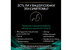 PRO PLAN VETERINARY DIETS EN GASTROINTESTINAL Лечебные консервы ПРО ПЛАН Ветеринарная диета для взрослых собак при расстройствах пищеварения (цена за упаковку) 400г x 12шт