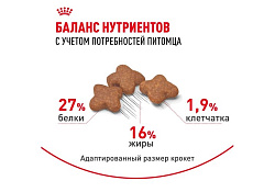Royal Canin Mini Adult 8+ Сухой корм Роял Канин Мини для Пожилых собак Мелких пород старше 8 лет 4 кг