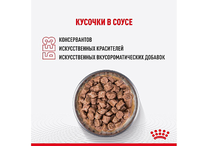 Royal Canin Kitten Sterilised Влажный корм (Консервы-Паучи) Роял Канин Киттен Стерилайзд для Стерилизованных Котят в возрасте от 6 до 12 месяцев в Соусе (цена за упаковку) 85г х 28шт