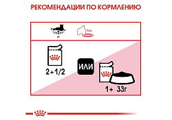 Royal Canin Instinctive Jelly Влажный корм (Консервы-Паучи) Роял Канин Инстинктив для Взрослых кошек старше 1 года в Желе (цена за упаковку) 85г х 28шт