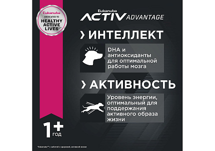 Eukanuba Adult Medium Breed Сухой корм Эукануба для взрослых собак Средних пород с Курицей 15 кг
