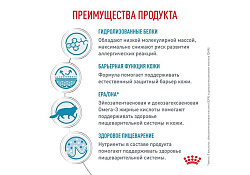 Royal Canin Hypoallergenic DR25 Ветеринарный сухой корм Роял Канин Гипоаллергенный для кошек Пищевая аллергия и непереносимость 350 г