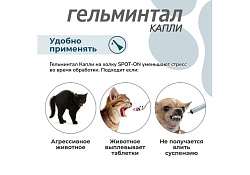 Гельминтал К Spot-on Капли от Гельминтов на холку для кошек весом 4-10 кг 1 х 3 шт