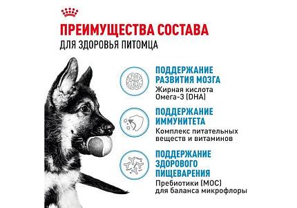 Royal Canin Maxi Puppy Сухой корм Роял Канин Макси Паппи для Щенков Крупных пород в возрасте от 2 до 15 месяцев 3 кг