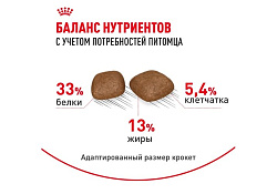 Royal Canin Urinary Care Сухой корм Роял Канин Уринари Кэа для кошек Профилактика Мочекаменных болезней 2 кг