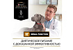 PRO PLAN VETERINARY DIETS NF RENAL FUNCTION Сухой корм ПРО ПЛАН Ветеринарная диета для взрослых собак для поддержания функции почек при хронической почечной недостаточности 3 кг
