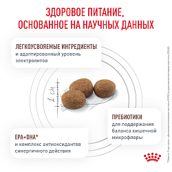 Сухой корм Royal Canin GASTROINTESTINAL LOW FAT SMALL DOGS (ГАСТРОИНТЕСТИНАЛ ЛОУ ФЭТ СМОЛ ДОГЗ) 1 кг