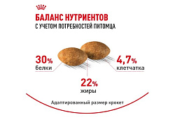 Royal Canin Breed cat British Shorthair Влажный корм (Консервы-Паучи) Роял Канин для кошек породы Британская короткошерстная 85г х 28шт