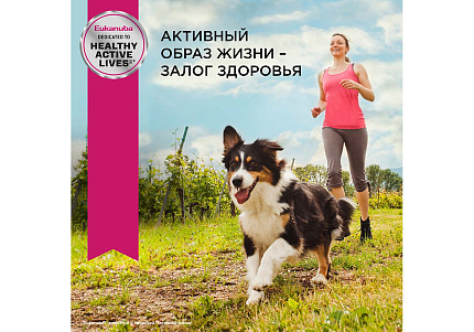 Eukanuba Adult Medium Breed Сухой корм Эукануба для взрослых собак Средних пород с Курицей 15 кг