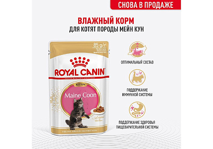Royal Canin Breed Kitten Maine Coon Влажный корм (Консервы-Паучи) Роял Канин для Котят породы Мэйн Кун в возрасте до 15 месяцев (цена за упаковку) 85г х 28шт