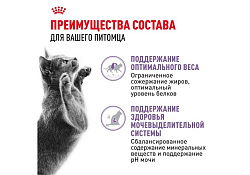 Royal Canin Sterilised Jelly Влажный корм (Консервы-Паучи) Роял Канин Стерилайзд для взрослых кастрированных котов и Стерилизованных кошек в Желе (цена за упаковку) 85г х 28шт