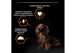 PRO PLAN OPTI BALANCE Сухой корм ПРО ПЛАН для взрослых собак мелких пород с курицей 700 г