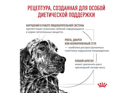 Royal Canin Gastro Intestinal GI25 Ветеринарный сухой корм Роял Канин Гастро Интестинал для взрослых собак при нарушении Пищеварения 15 кг